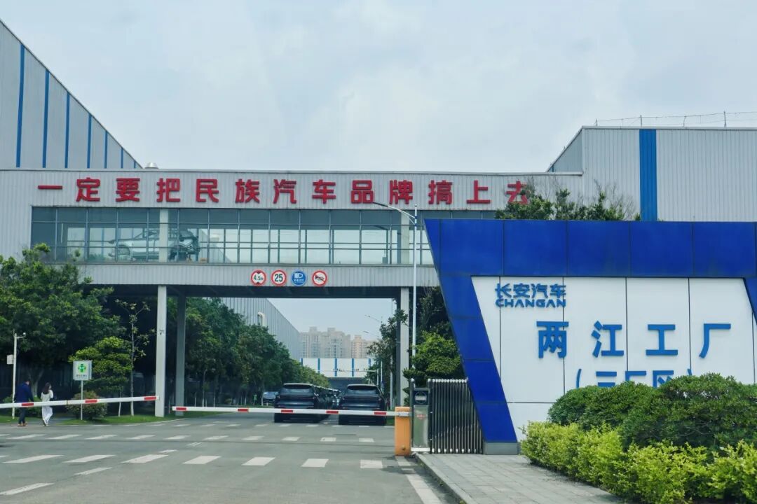 微信图片_2026-06-08_145737_768.jpg